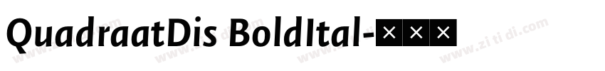 QuadraatDis BoldItal字体转换 QuadraatDis BoldItal字体转换